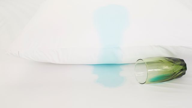 Protect-A-Bed® Originals White AllerZip® Queen Pillow Protector 7