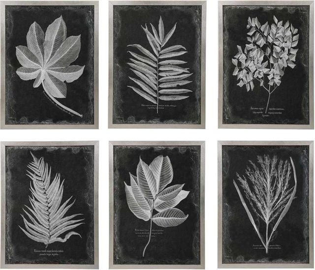 Uttermost® by Grace Feyock Foliage 6-Piece Black/White Framed Prints-0