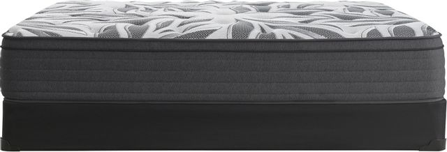 Sealy® RMHC Canada 4 Wrapped Coil Plush Euro Top Queen Mattress 30