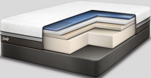 Sealy® Conform™ Premium™ N11 Gratifying Firm Gel Memory Foam Queen Mattress 2