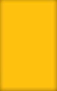 Hestan Sol Yellow Grill Panel