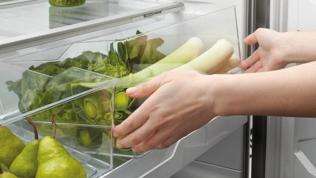 Réfrigérateur à congélateur inférieur à profondeur de comptoir de 32 po Fisher Paykel® de 17,1 pi³ - Acier inoxydable 11