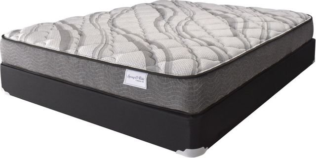 Spring Air® Spring-O-Pedic Hybrid Cushion Firm Tight Top Twin Mattress ...