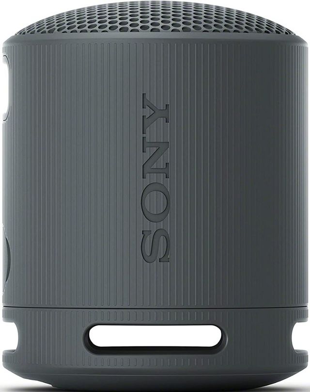 Sony® Black Wireless Portable Speaker