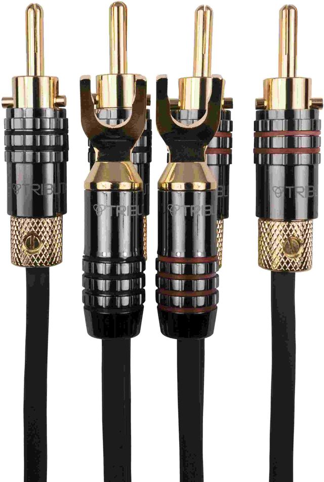 Tributaries® Series 8 10 Ft. Banana Plugs/Spade Lugs Bi-Wire Speaker Cable 1