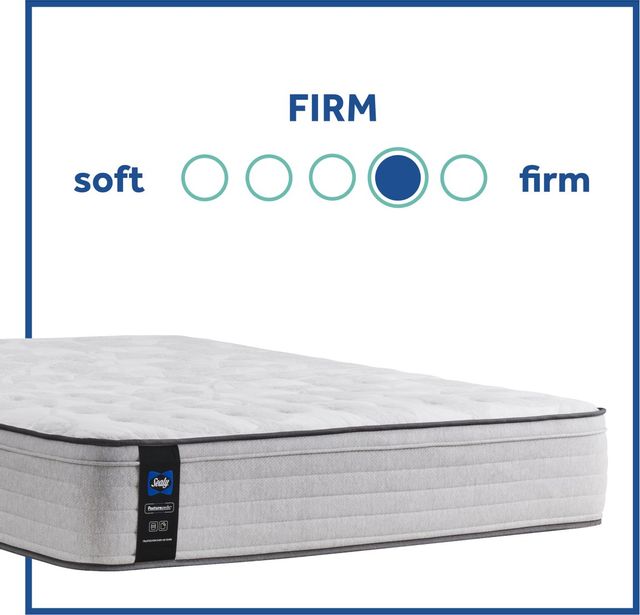 Sealy® Posturepedic® Spring Diggens Innerspring Firm Faux Euro Top Queen Mattress 7