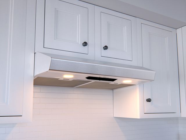 Zephyr Core Collection Breeze I Series 24" Stainless Steel Under Cabinet Range Hood 1