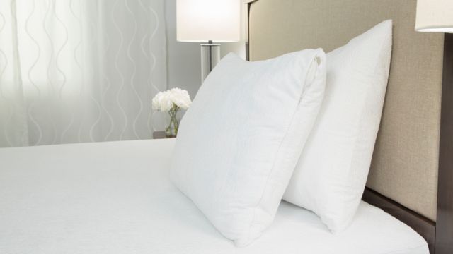 Protect-A-Bed® Originals White Premium King Pillow Protector 7