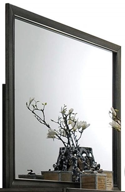 ACME Furniture Carine II Gray Mirror