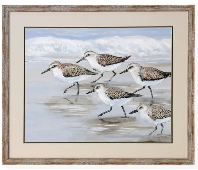 Stylecraft Sandpipers I Light Blue/Taupe/White Wall Art | Colder's ...