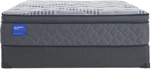 Sealy® Carrington Chase Excellence Grace Wrapped Coil Plush Euro Pillow Top Queen Mattress 31