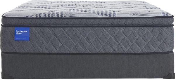 Carrington Chase by Sealy® Wensley Plush Queen Mattress 24