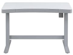 Ashford Adjustable Desk (White)