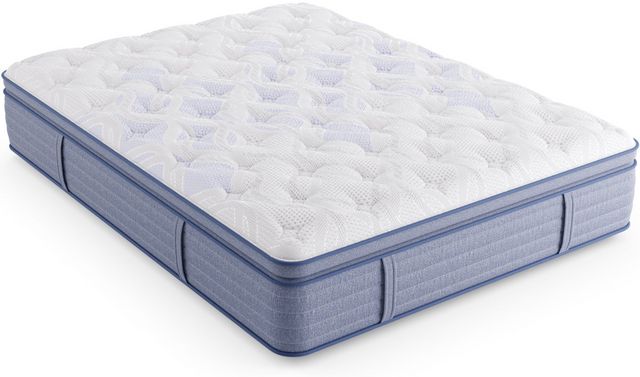 Miskelly Sleep Motivation Soft Pillow Top Twin Mattress | Miskelly ...