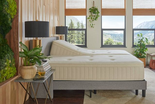 sealy natural firm 2 stage mattress foam reviews