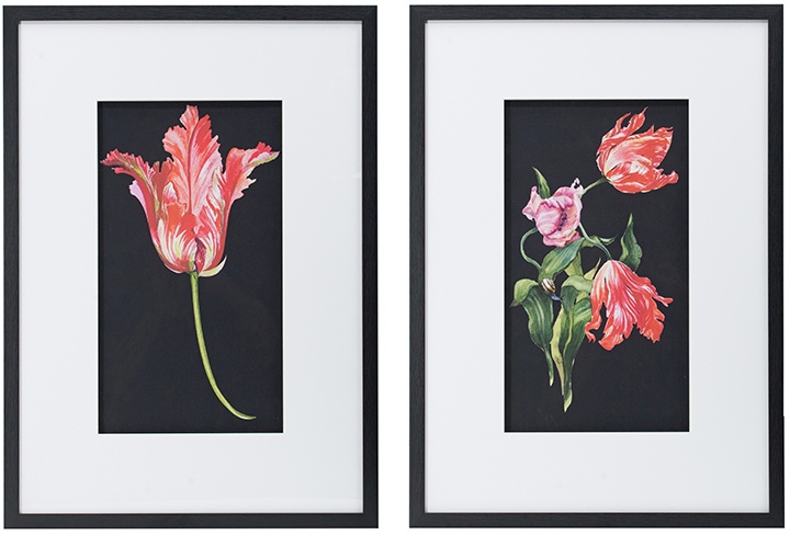 A & B Home Set of Two Black/Pink/White Floral Wall Art