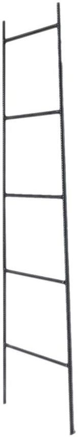 Moe's Home Collections Black Iron Ladder 1
