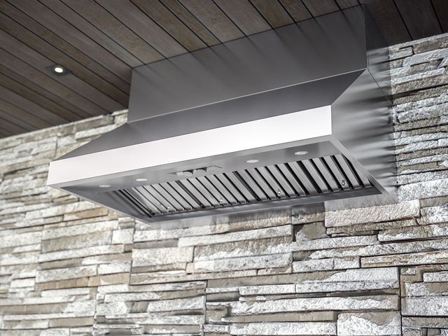 Zephyr Pro Collection Cypress 48" Outdoor Pro Style Wall Ventilation-Stainless Steel-AK7848BS-1
