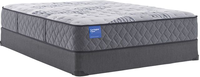 Sealy® Carrington Chase Clairebrook Wrapped Coil Firm Tight Top California King Mattress 4