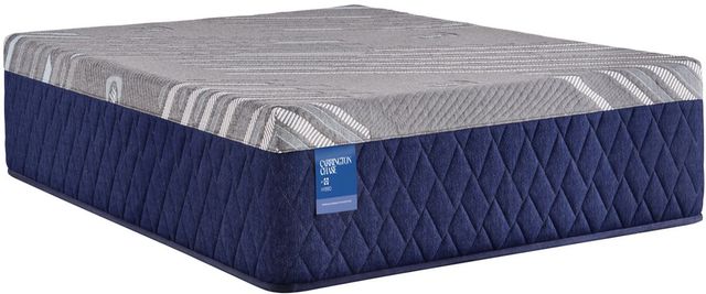 Sealy® Carrington Chase Midnight Cove 12