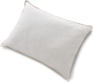 Sierra Sleep® By Ashley® Z123 Set of  4 Cotton Soft Standard Pillows