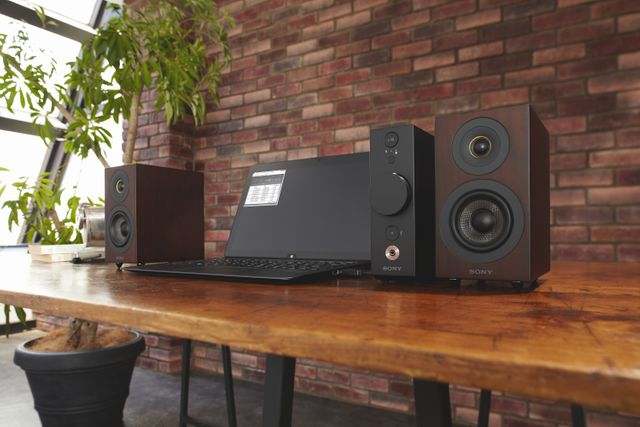 Sony® High-Resolution Black Desktop Audio System 11