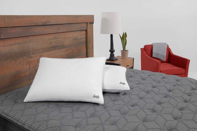 Sealy® Performance Dual-Comfort Standard Pillow 5