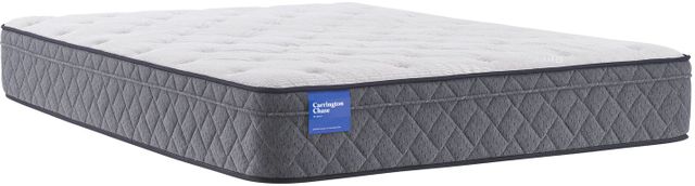 Carrington Chase by Sealy® Belgrave Top Plush Queen Mattress 2