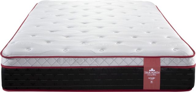 True North Chiropractic Pelee Full Wrapped Coil Euro Top Plush Mattress 7