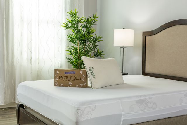 Protect-A-Bed® Naturals White Signature Lavish TENCEL® Standard Pillow 7