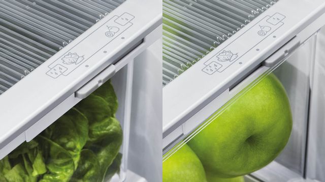 Réfrigérateur à portes françaises à profondeur de comptoir de 36 po Fisher Paykel® de 20,1 pi³ - Acier inoxydable 5