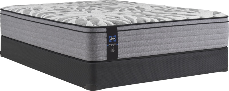 Sealy nokomis ii eurotop queen cheap mattress