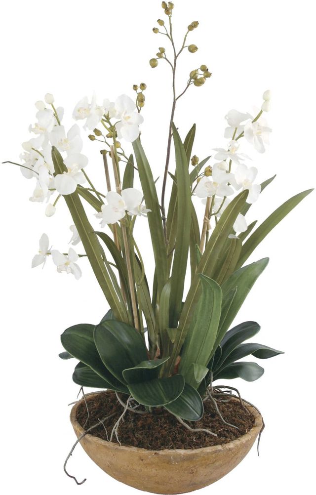 Uttermost® by Constance Lael-Linyard Natural Brown Moth Orchid Planter