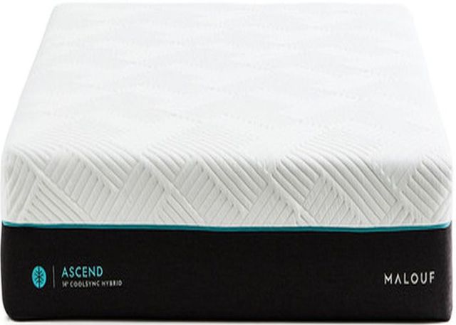 Malouf™ Ascend CoolSync™ Hybrid Ultra Plush Tight Top Queen Mattress in a Box 20