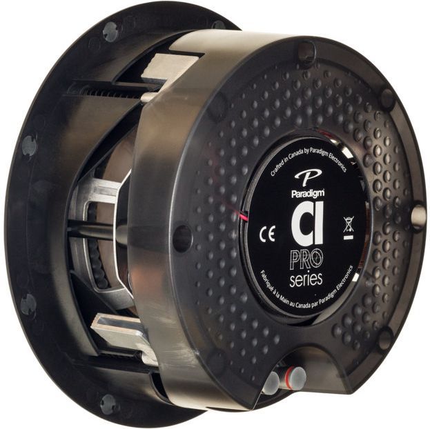 Paradigm® CI Pro Series P65-RX Outdoor/Marine Speaker 2