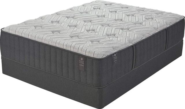 Luxe Original Mattress - Biggest Sale Ever - Upto 65% OFF + Free Shipping –  HiGRID