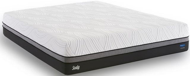 Sealy® Conform™ Premium™ N11 Gratifying Gel Memory Foam Firm Smooth Top King Mattress