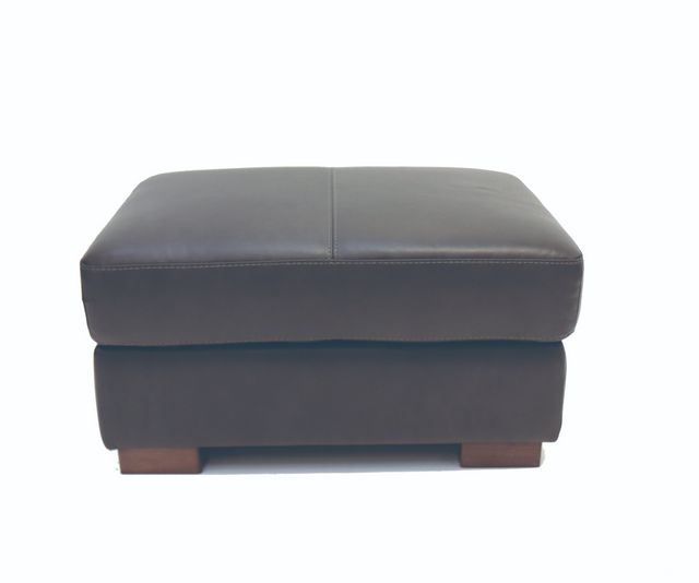 Olimpia Leather Sofa  Hurwitz Mintz Furniture