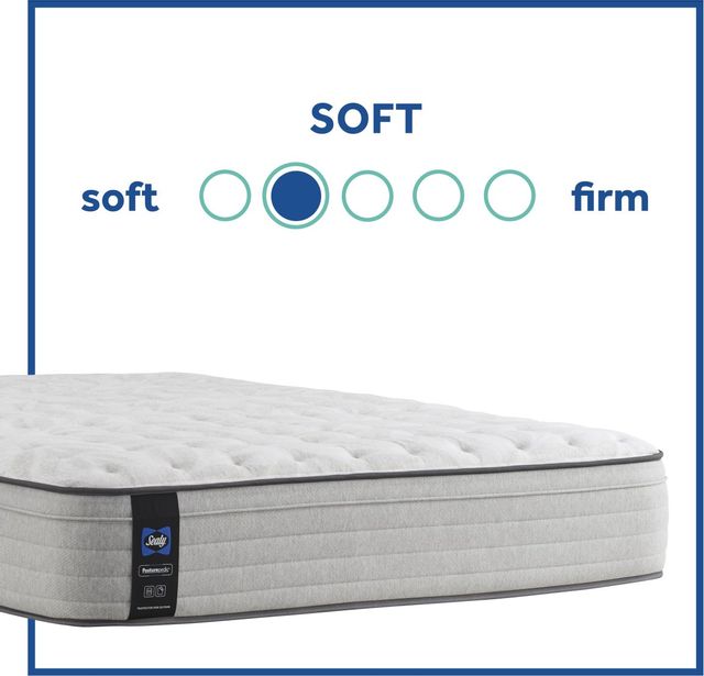 Sealy® Essentials™ Spring Summer Rose Innerspring Soft Faux Euro Top Full Mattress 5