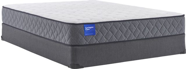 Carrington Chase by Sealy® Belgrave Tight Top Innespring Firm Queen Mattress 3