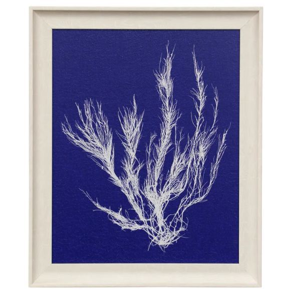 Stylecraft Seaweed Pop VI Off-White/Blue Wall Art | Webster Furniture ...