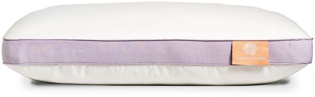 DreamFit® DreamComfort™ Duo Reversible Standard/Queen Pillow 1