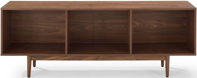 Liam Large Record Storage Console Cabinet - Shop Liam