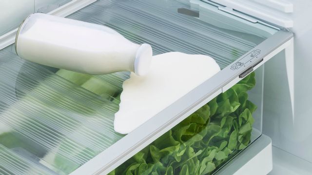 Réfrigérateur à congélateur inférieur à profondeur de comptoir de 32 po Fisher Paykel® de 17,5 pi³ - Acier inoxydable 3