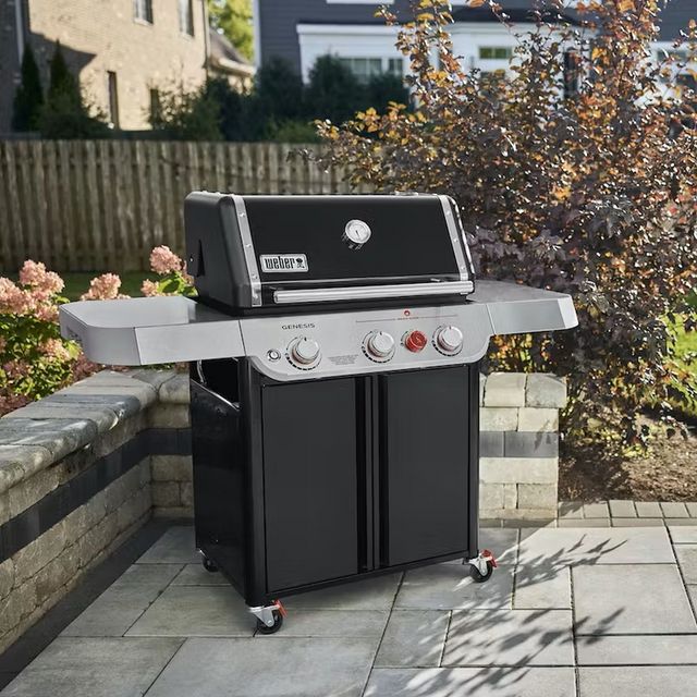 Weber® Genesis E-325 58