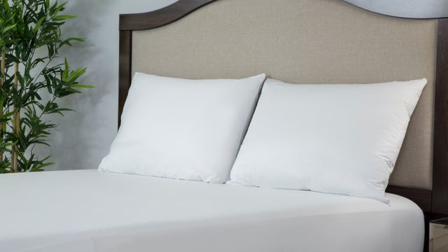 Protect-A-Bed® Originals White AllerZip® Queen Pillow Protector 10