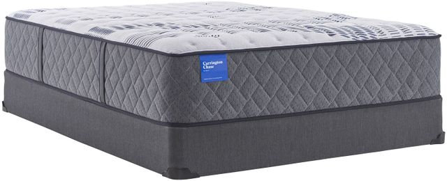 Sealy® Carrington Chase Tattershall Wrapped Coil Tight Top Twin Mattress 4