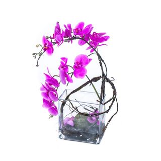 Foster's Point Orchid and Branch in Glass