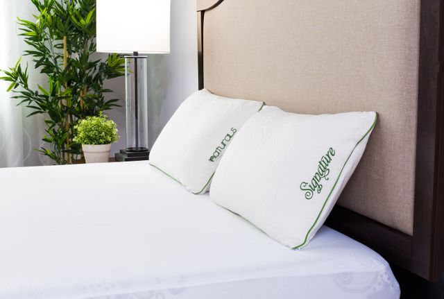 Protect-A-Bed® Naturals White Signature Lavish TENCEL® Standard Pillow 6
