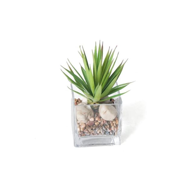 Foster's Point Square Glass Vase with Rocks and Succulents-0